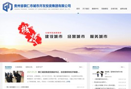 毕节城市开发投资集团有限公司