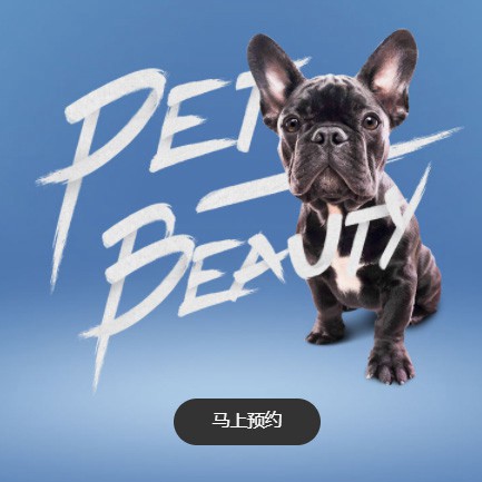 毕节宠物中心小程序开发